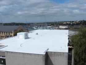 single ply membrane white roof